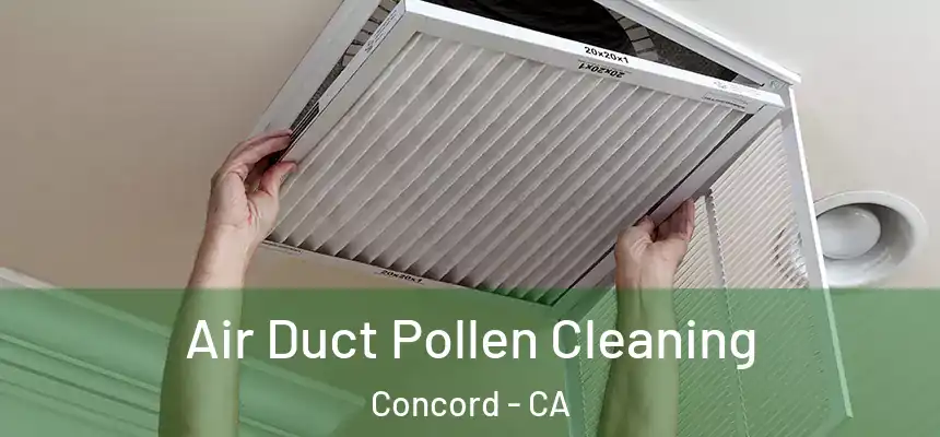  Air Duct Pollen Cleaning Concord - CA