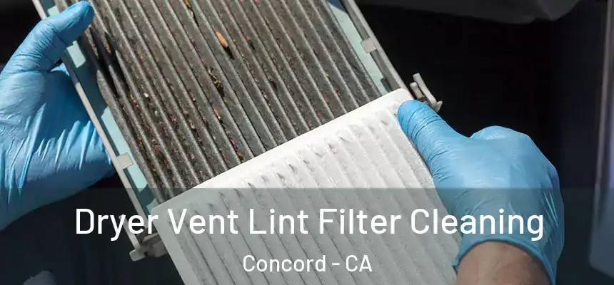  Dryer Vent Lint Filter Cleaning Concord - CA