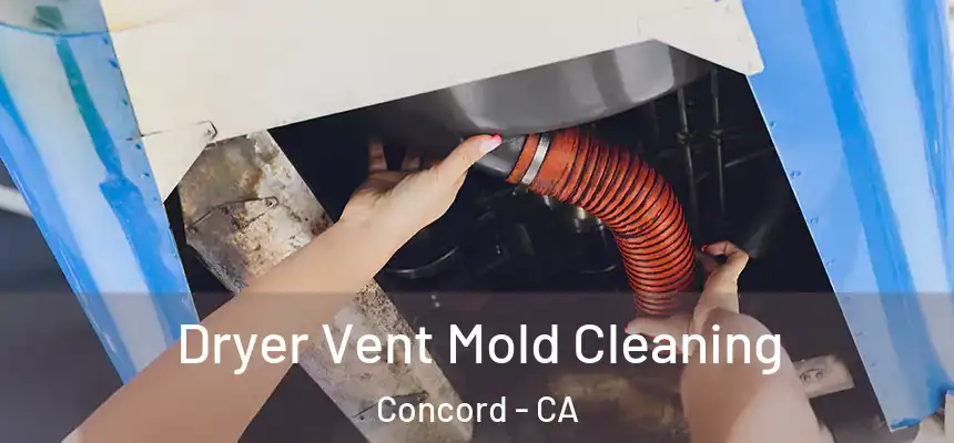 Dryer Vent Mold Cleaning Concord - CA