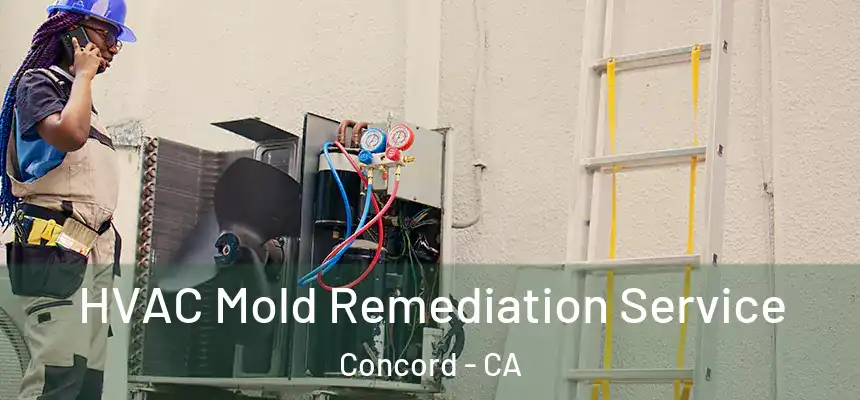 HVAC Mold Remediation Service Concord - CA