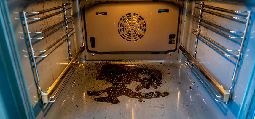 Our Dryer Vent Mold Cleaning Services in Concord, CA