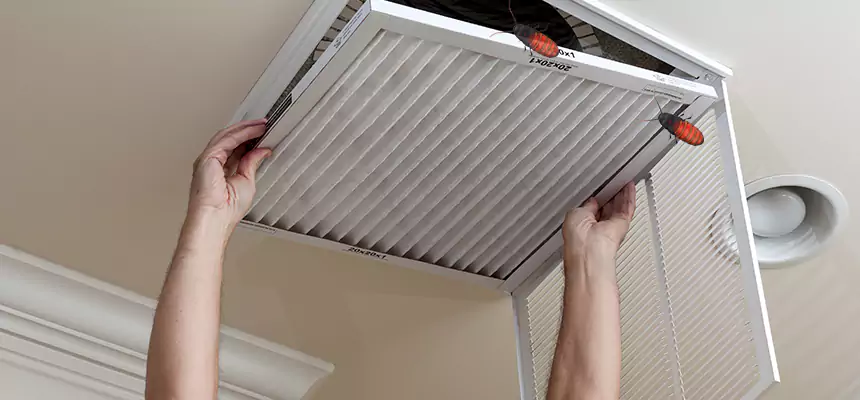 Our Insect Removal from Air Ducts Services in Concord, CA