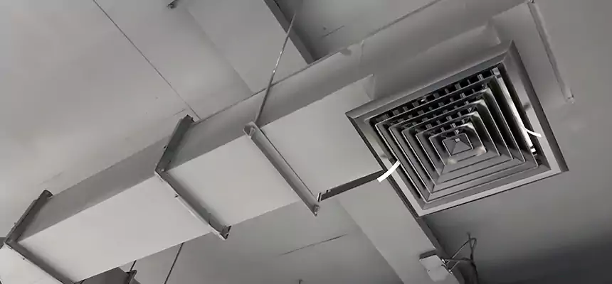 Our Rodent Droppings In Vents Services in Concord, CA