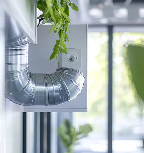 Professional Eco-Safe Dryer Vent Cleaning in Concord, CA