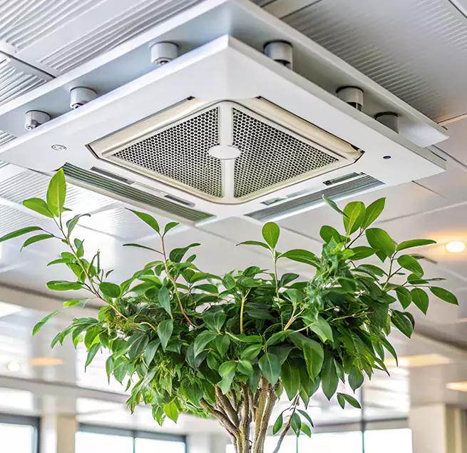 Why Homeowners & Businesses Trust Us in Concord, CA