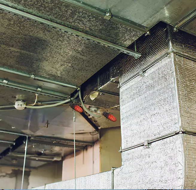 Why Homeowners & Businesses Trust Us Concord, CA?